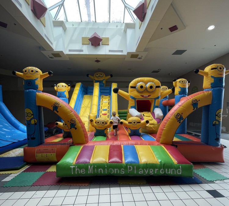 The Minions Playground Bounce House (Lake&nbspWales,&nbspFL)